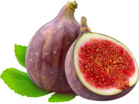 002-fig buat tin