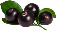 004-acai-berry