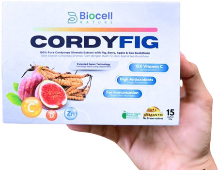 cordyfig-02