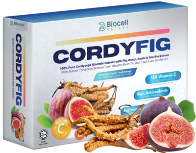 cordyfig-dp-01