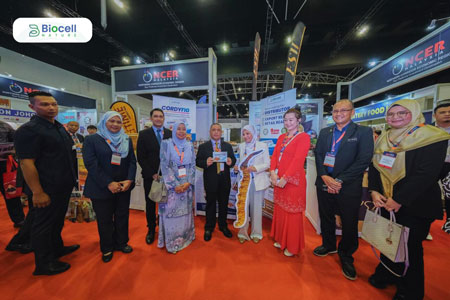 expo-cordyfig