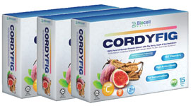 pakej-03-kotak-cordyfig